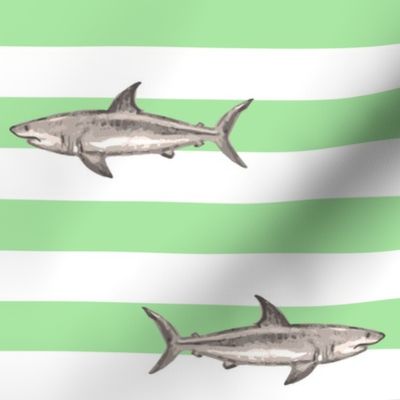 Sharks and green stripes