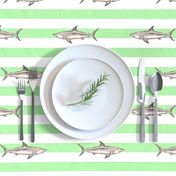 Sharks and green stripes