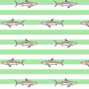 Sharks and green stripes