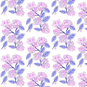 Copy_of_hydrangea_lavender