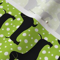 Polka Dachshunds (Green and Black)