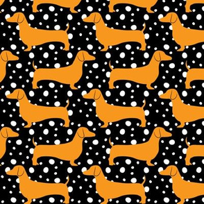 Polka Dachshunds (Black and Orange)