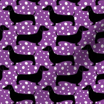 Polka Dachshunds (Purple and Black)