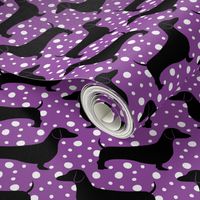 Polka Dachshunds (Purple and Black)