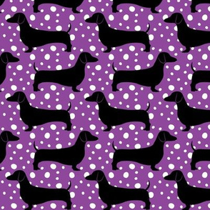 Polka Dachshunds (Purple and Black)