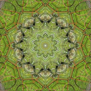 Irish Moss Covered Mandala