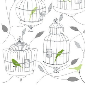 Green Birds and Cages