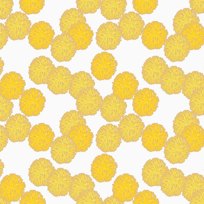 coral_yellow