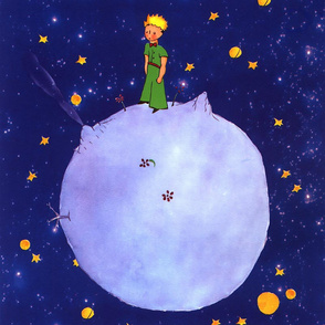 petit prince night