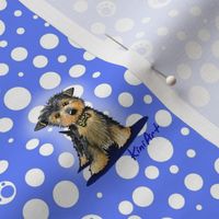 Small Yorkie Boy On Blue