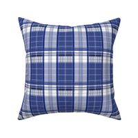 Blue Box Plaid 2