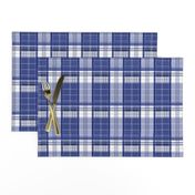 Blue Box Plaid 2