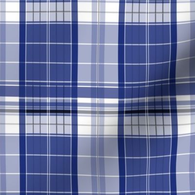 Blue Box Plaid 2