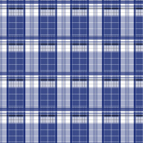 Blue Box Plaid 3