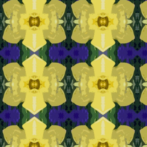 Daffodils