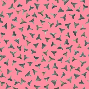 shark teeth on bright pink