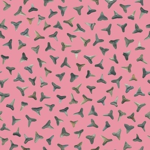 shark teeth on soft pink