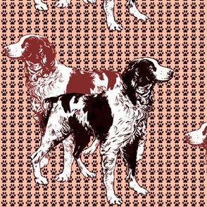 brittany_spaniels_on_pawprints