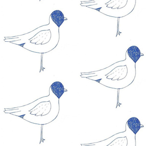 seagull_sketch