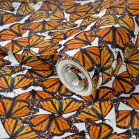 Monarch flock of butterflies