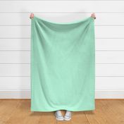 Small Light Mint Chevron