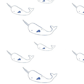 narwhal family