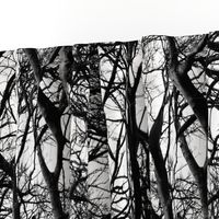 The Tree Lace ~ Black and White