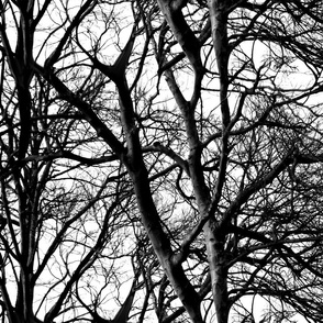 The Tree Lace ~ Black and White