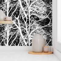 The Tree Lace ~ White and Black