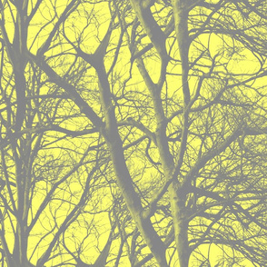 The Tree Lace ~ Portlandia