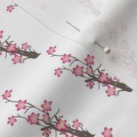 oriental_blossoms_side_branch hb