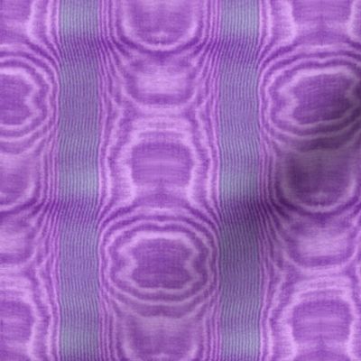 Moire Stripe ~ Periwinkle, Lavender and Purple