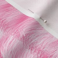 The Feathered Stripe ~ Pink