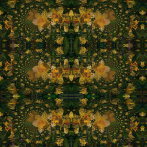 Hypnotic_Daffodils