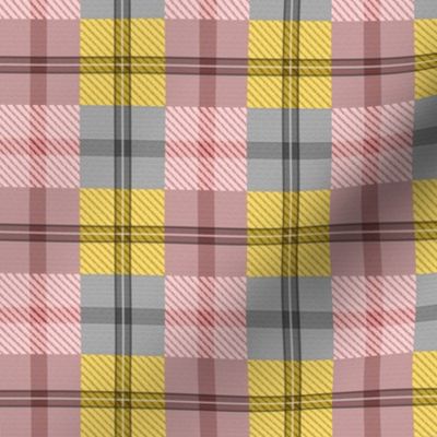 gingham plaid ginger peach