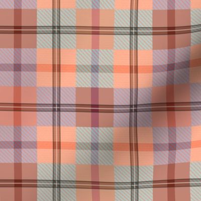 gingham plaid sea peach