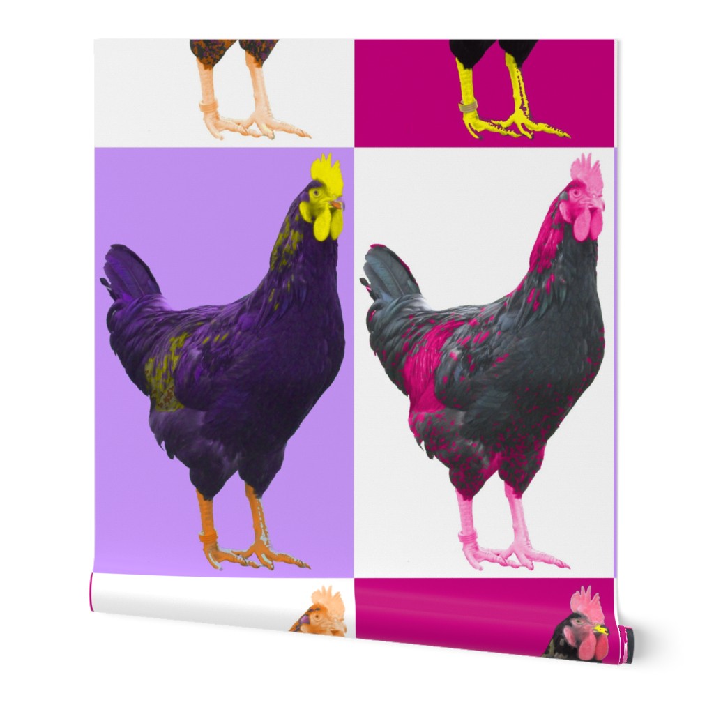 Pop Pink Purple Art Chook Chook Chook