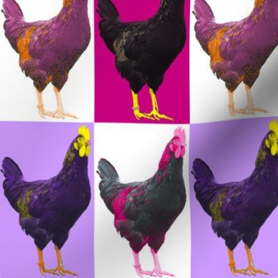 Pop Pink Purple Art Chook Chook Chook