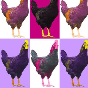 Pop Pink Purple Art Chook Chook Chook