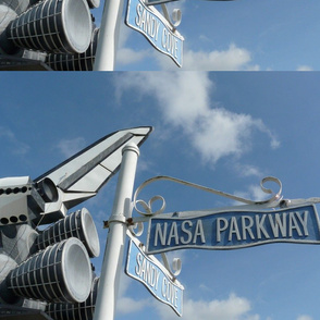 NASA Parkway fat quarter