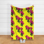 Redoute' Rose ~ Hot Pink and La! Yellow ~ Romp In The Garden