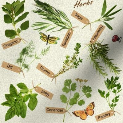 herbs and butterflies