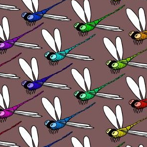 Dragonfly Rainbow