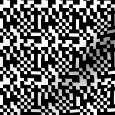 QRCODE black & white