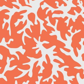 Coral Reef in Coral/White