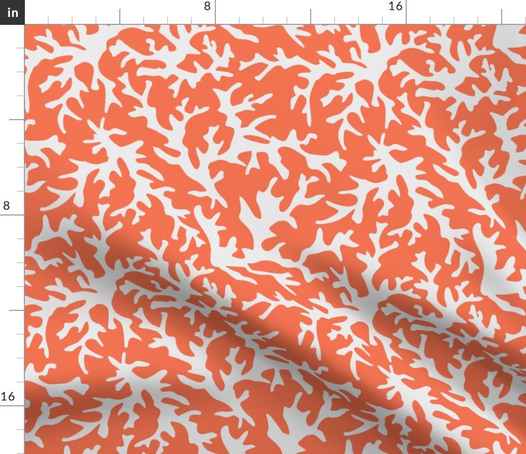 Coral Reef in Coral/White