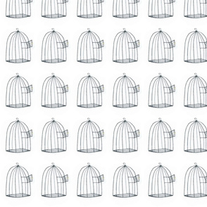 Empty birdcage