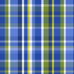 Madras Plaid Blue