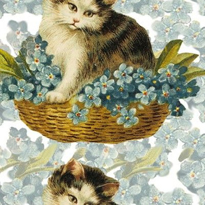 Cat_in_Basket