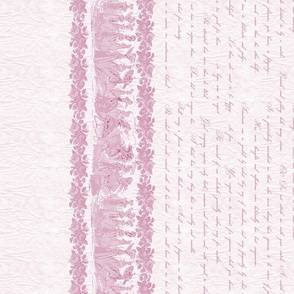 Jane Austin Says Border Print in Rose